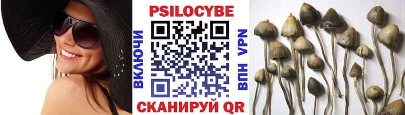 Галлюциногенные грибы Cubensis  Артёмовск 